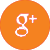 Google Plus